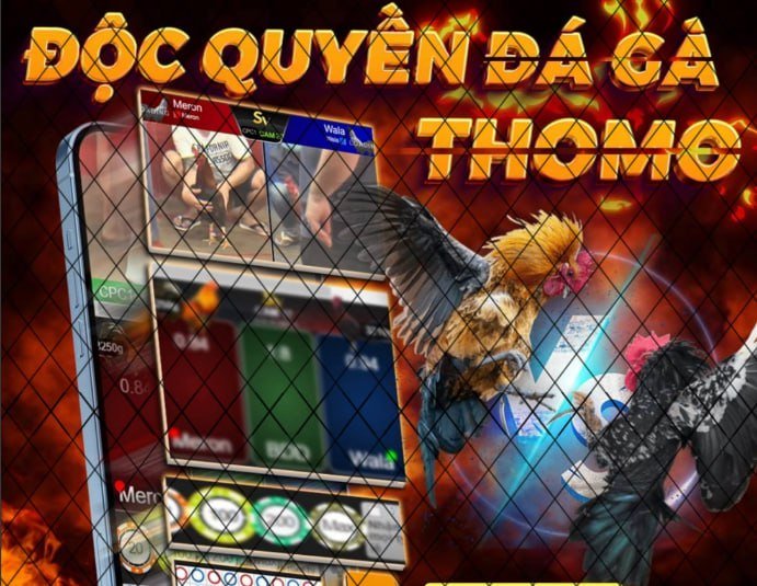 Truy Cập Đá Gà Cựa Sắt Thomo